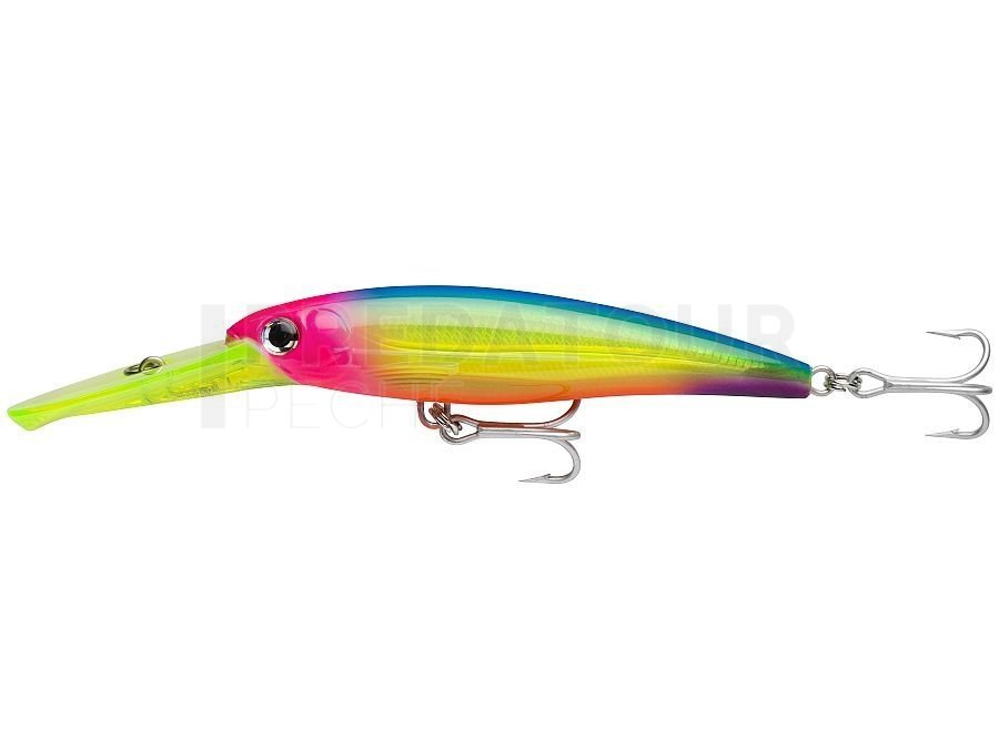 Rapala - Leurre de Pêche X-Rap Magnum - Matériel de Pêche avec Grande  Bavette Plongeante - Leurre Pêche en Mer - Profondeur de Nage 4,5m - 12cm /  32g - Fabriqué en