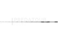 Canne Casting Dragon X-Treme HD Casting 200C 1.98m 60-200g