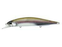 Leurre DUO Realis Jerkbait 160SP 33g - CSH3061