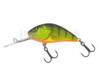 Leurre Salmo Hornet H5S - Hot Perch