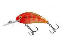 Leurre Salmo Hornet Rattlin H4.5 - Golden Red Head