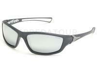 Solano Polarized Sunglasses FL 20056