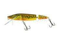 Salmo Pike Jointed