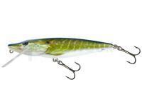 Leurre Salmo Pike PE16F - Real Pike