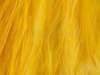 Rooster Saddle Feather - Banana Yellow