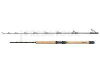 Penn Regiment IV Pro Boat Rod