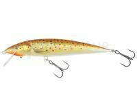 Leurre Dorado Classic 15 F | 15cm 20g - TR (metal)