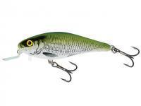 Leurre Salmo Executor IEX5SR - Olive Bleak