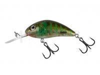 Leurre Salmo Hornet Rattlin H4.5 - Green Gill Clear