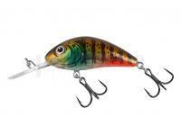 Leurre Salmo Hornet Rattlin H4.5 - Hot Gill Clear