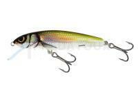 Leurre Salmo Minnow M7S - Holo Bleak