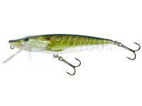 Leurre Salmo Pike PE9F - Real Pike