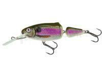 Frisky 7 DR Spot Bait