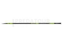 Canne Mikado NSC Big Fish Pole 6.00m 5-20g