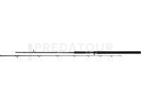 Canne Mikado Bixlite Pike Master 2.40m 30-105g