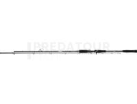 Canne Mikado Jaws Pike Monster 2.45m 30-85g