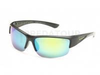 Lunettes polarisantes Solano FL20057D