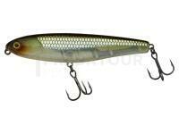 Leurres Water Monitor 95 9.5cm 20g - HS Ghost Minnow