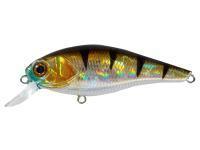 Leurre Adam's Shiner 62 SP SR | 62mm 7.4g - European Perch