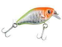 Leurre Balzer Colonel UV Striker Crank SR 4cm 4g - Clown