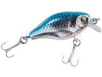 Leurre Balzer Colonel UV Striker Crank SR 4cm 4g - Roach silver