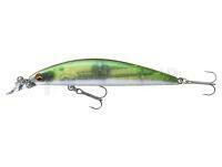 Leurre Daiwa Tournament Current Master 93F-SR | 9.3cm 12g - green flash ghost