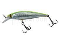 Leurre dur Illex Squad Minnow 95 SP - RT Visible Roach