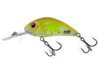 Leurre Salmo Hornet Rattlin H3.5 - Clear Ayu