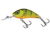 Leurre Salmo Hornet Rattlin H5.5 - Hot Perch