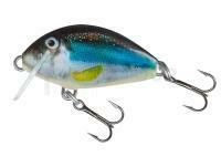 Leurre Salmo Tiny IT3F - Holo Smelt (HSM)