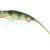 Qubi Lures Syrena ONYX Vert 20cm