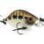 Adam's Leurres Hump Minnow 33 S